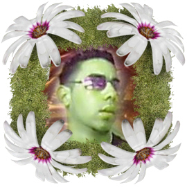 sba33333333333